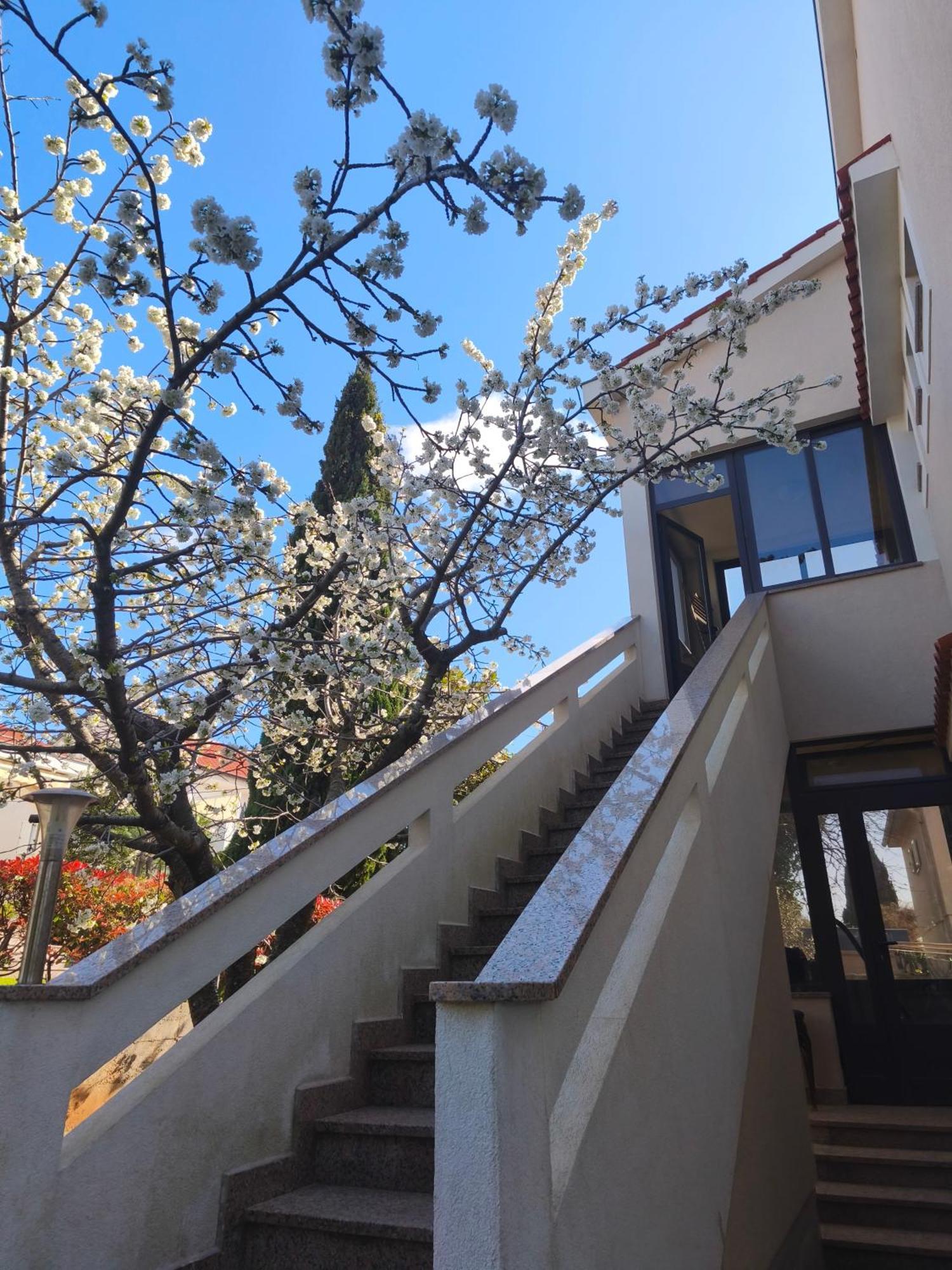 Apartmani Romana Punat Esterno foto